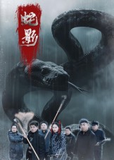 海报背景