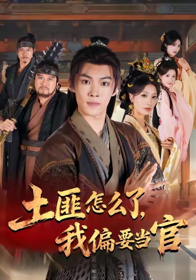 土匪怎么了，我偏要当官封面图