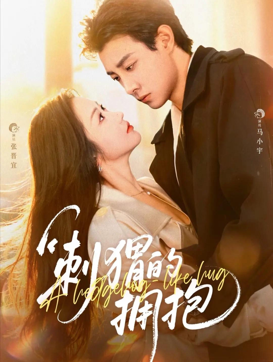 刺猬的擁抱封面圖