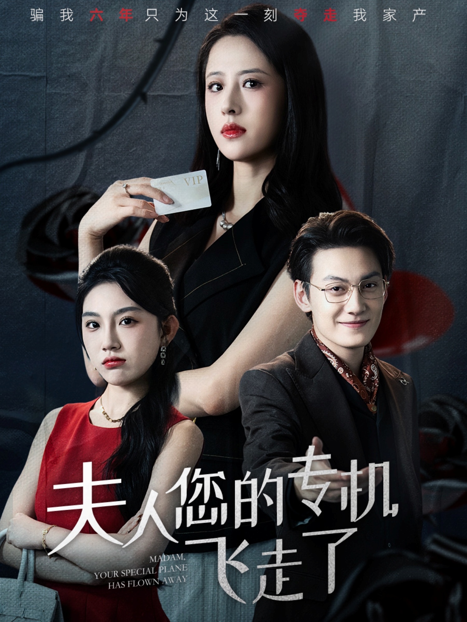 夫人您的專機(jī)飛走了封面圖