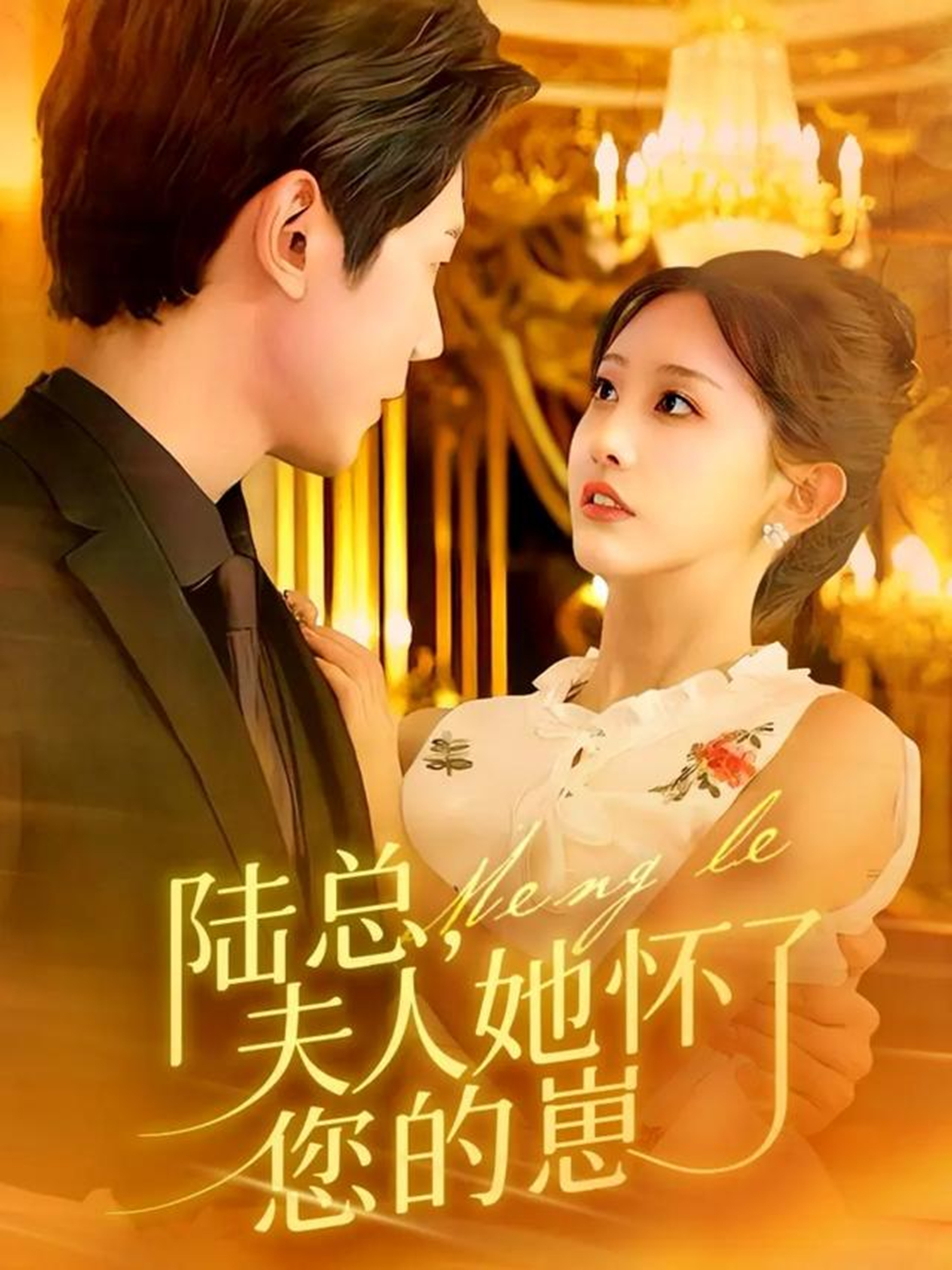 陸總，夫人她懷了您的崽封面圖