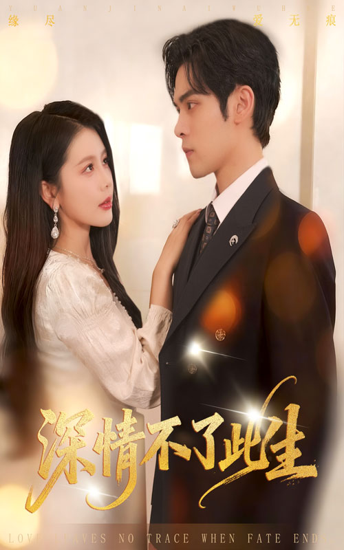 深情不了此生封面图